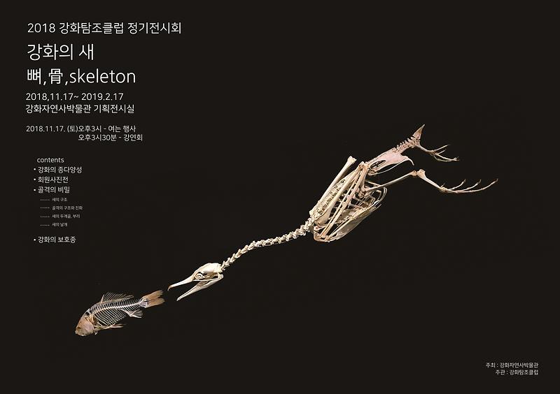 자연사박물관_기획전_포스터2