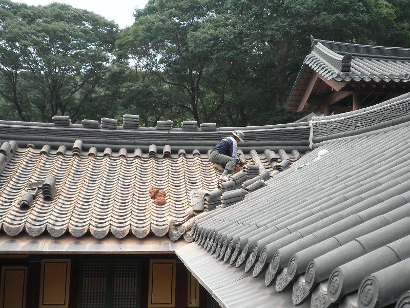 문화재보존사업단1