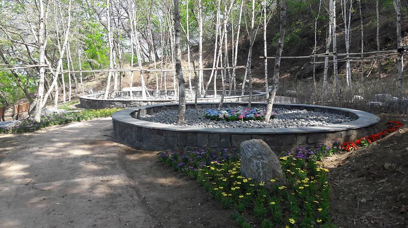 생태체험숲3(자작나무숲)