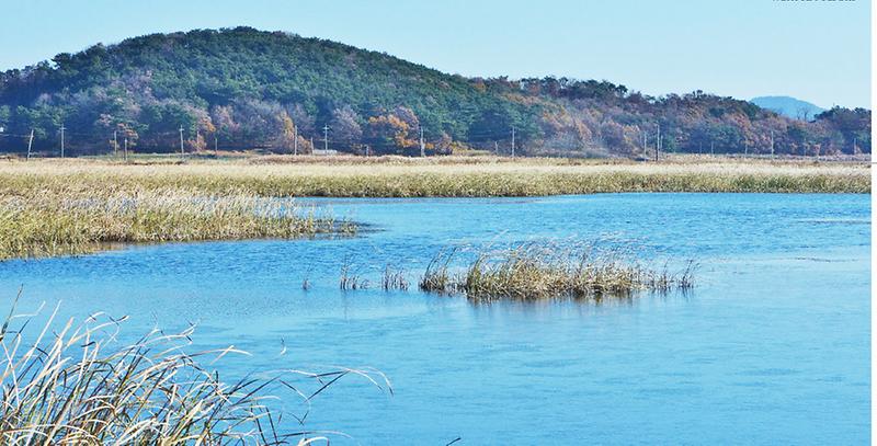 서한습지_전경
