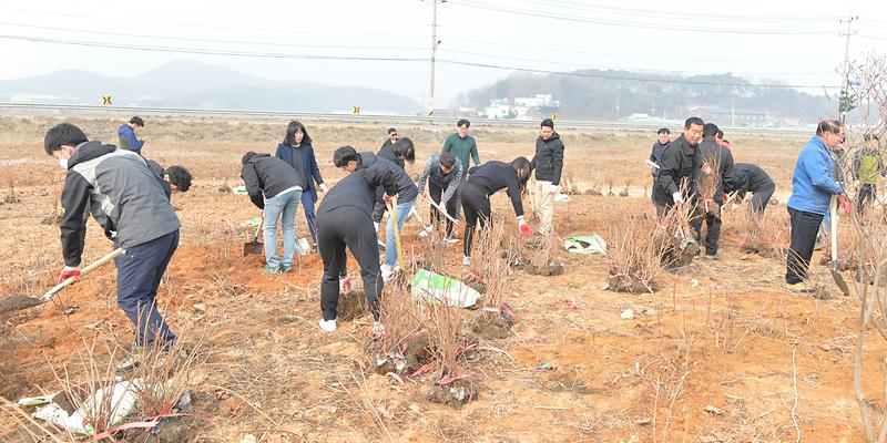 식목일_행사_나무심기1