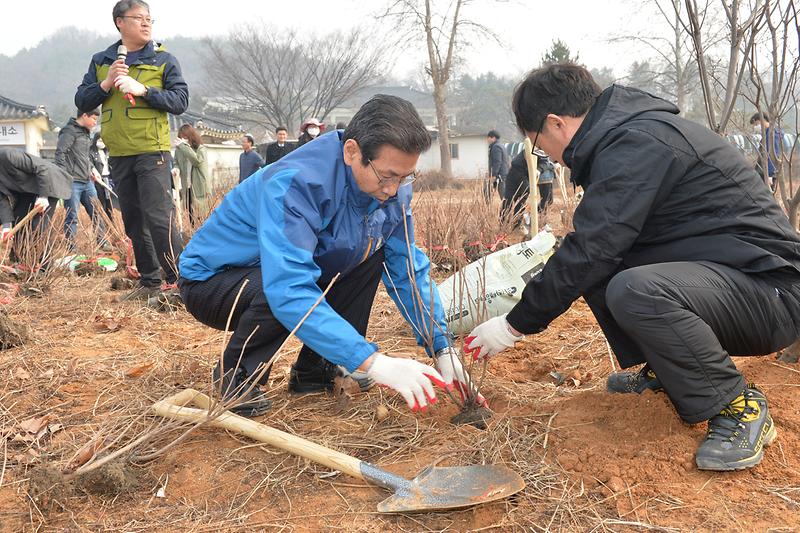 식목일_행사_나무심기3