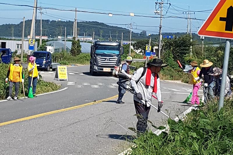송해면_환경정비2