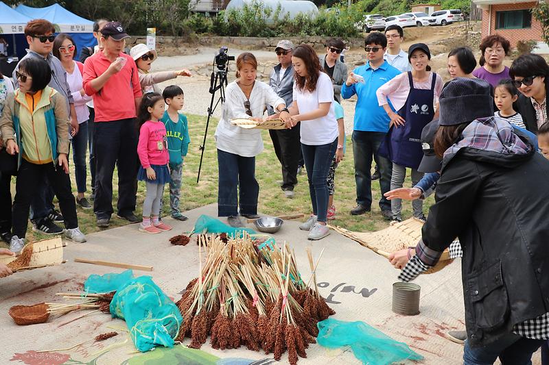 수수축제1(수수털기)