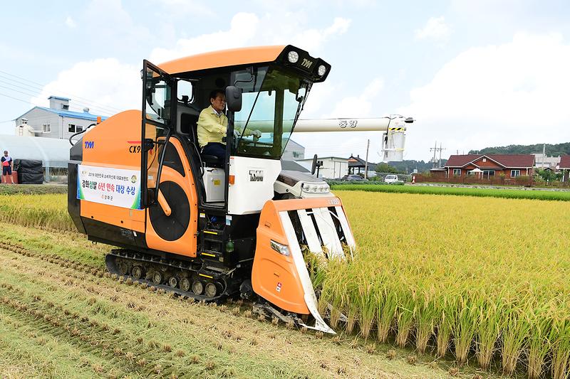 2019년_첫_벼베기_(2)