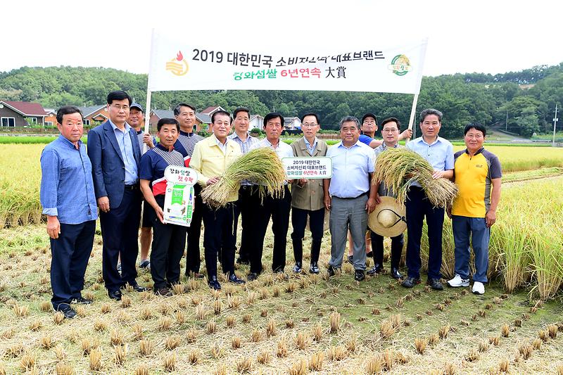 2019년_첫_벼베기_(3)