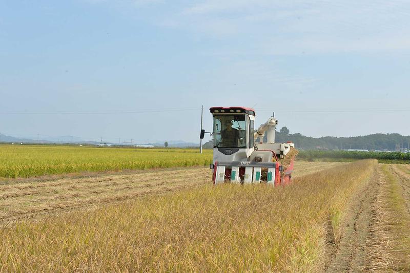 agri_벼수확