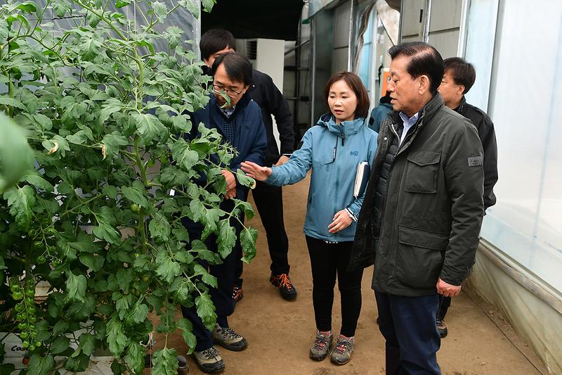 첨단농업_육성사업_현장_확인_(1)