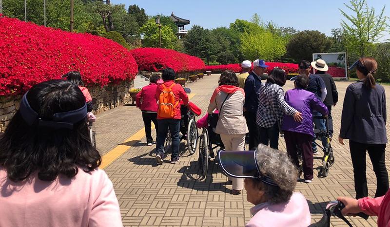 치매어르신_나들이1