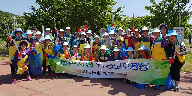 강화읍_환경정화3