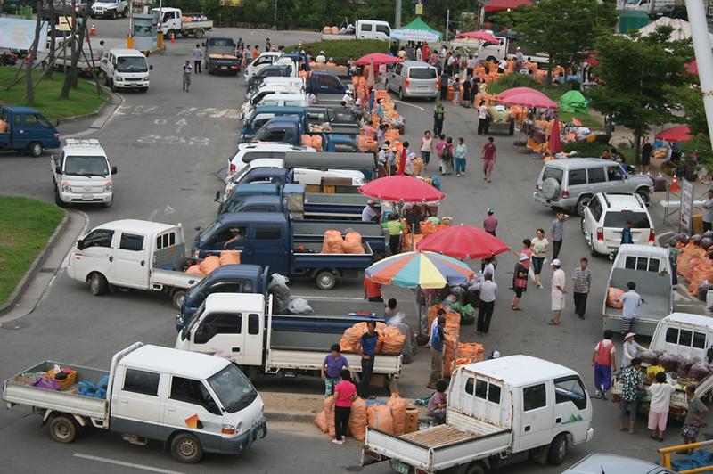 강화군_고추시장_개장1