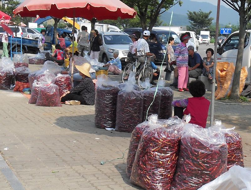 강화군_고추시장_개장2