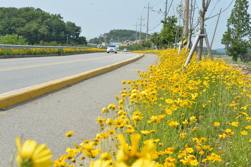 6월에 걷기 좋은 길 ‘강화나들길 2코스 호국돈대길’ 사진