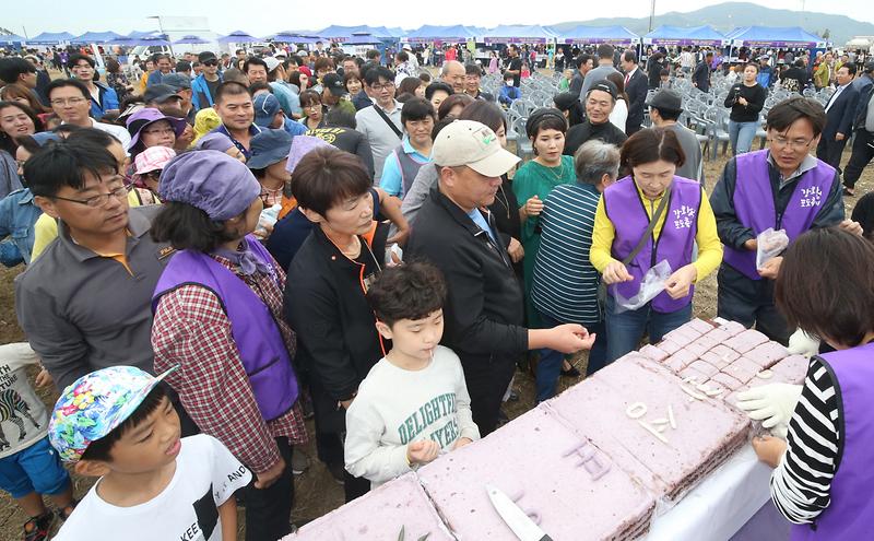 강화섬_포도축제2