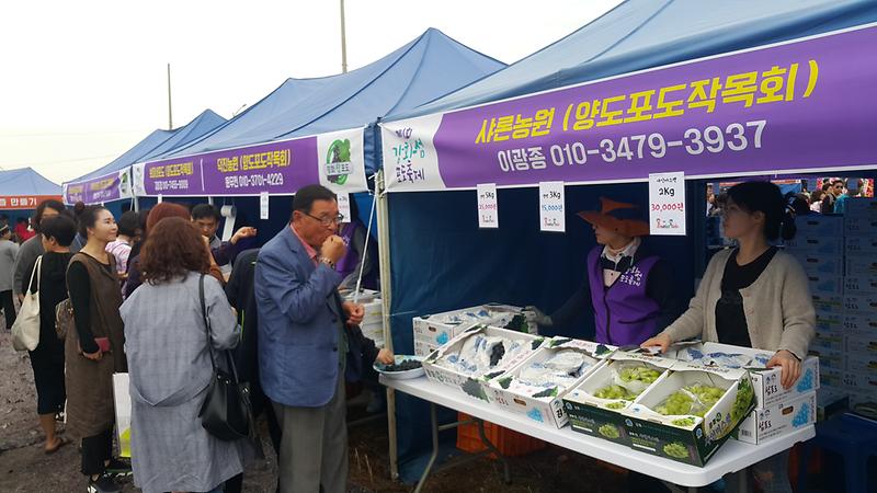 강화섬_포도축제4