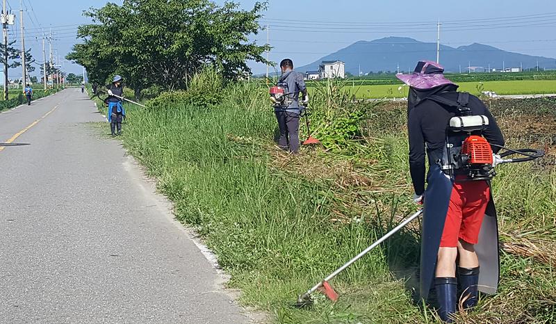 하점면_추석맞이_도로변_풀베기2