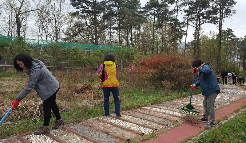 하점면_등산로_정비