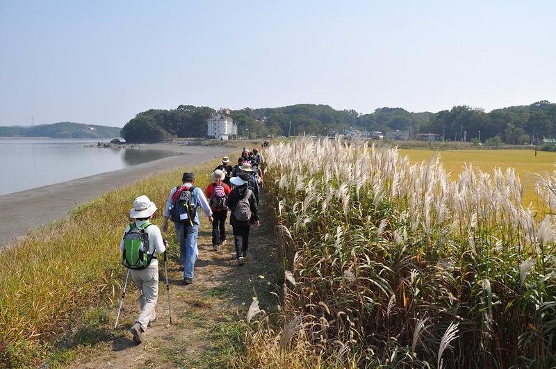 강화군, ASF 따른 침체된 경기 회복 안간힘 사진