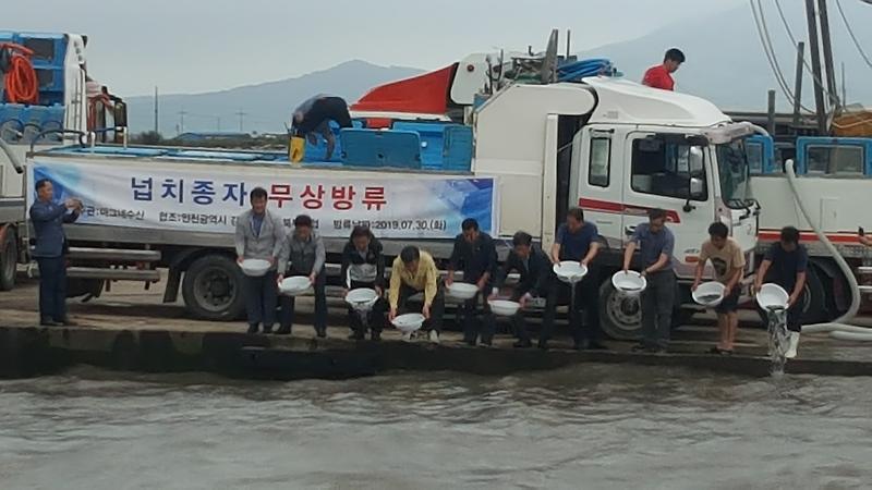 넙치_무상_방류