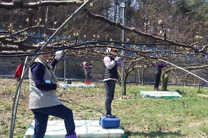 농촌일자리_연계