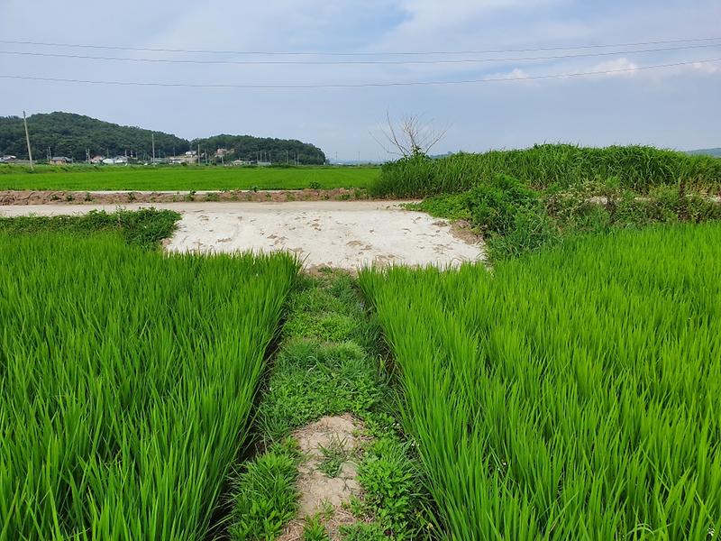 농기계_진출입로_정비1