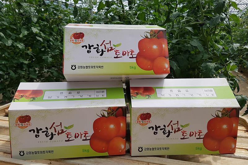 농산물_포장재_지원(강화섬토마토_박스)