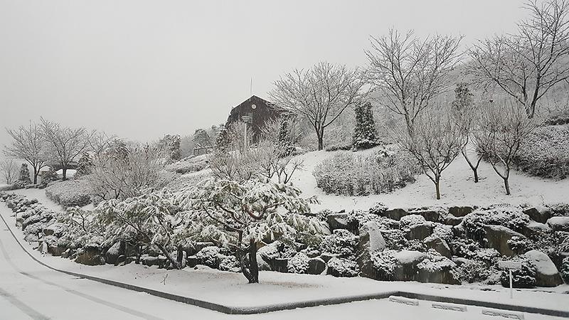 석모도휴양림(겨울전경1)
