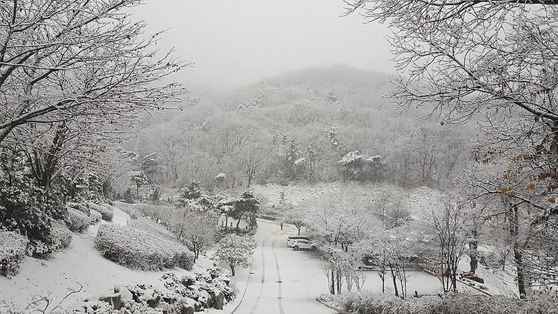 석모도휴양림(겨울전경2)