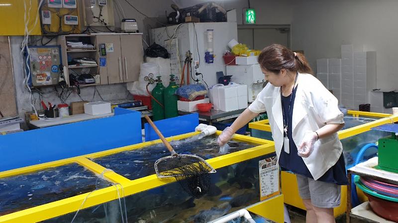 식중독_예방_어패류업체_점검2