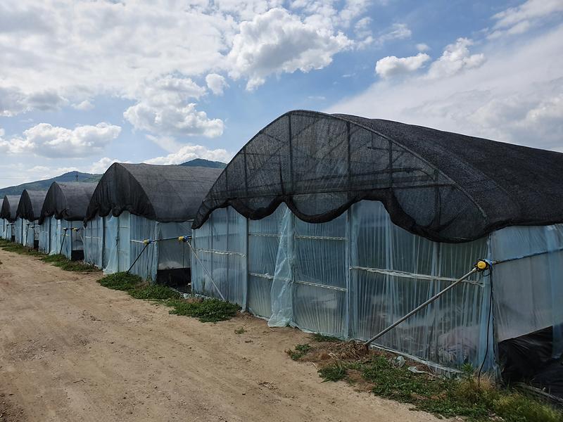 태풍_및_폭염피해_예방)_(1)