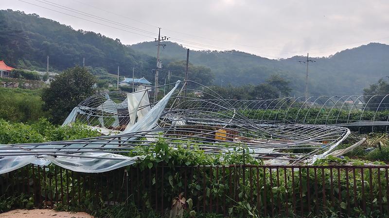 태풍_피해_복구_예산지원1(비닐하우스)