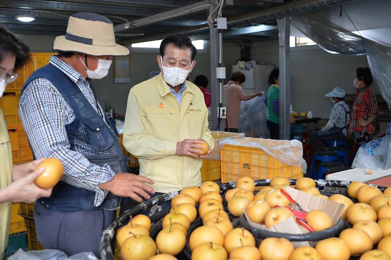 2020년_강화섬_해풍배_수출_(2)