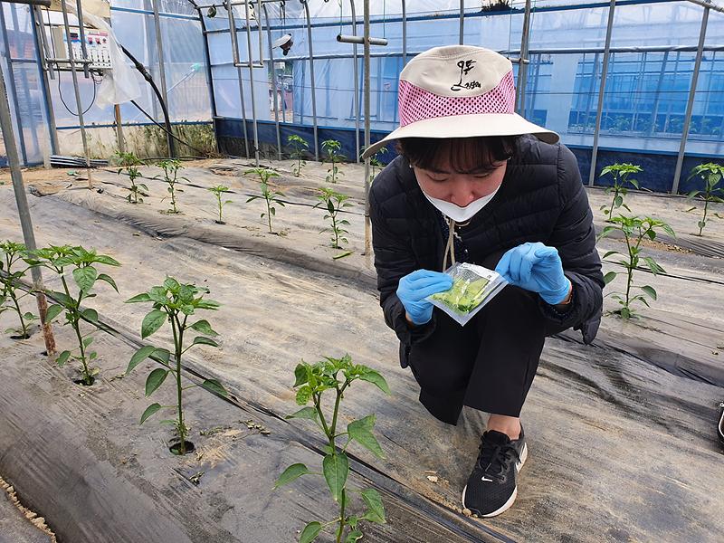 바이러스_진단키트_활용_현장진단_(1)