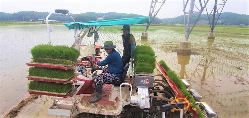 불은면_자치위원회_(2)