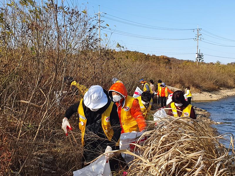 불은면_적십자회_환경정비_(2)