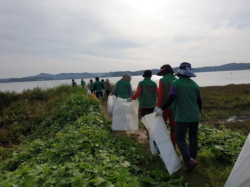 불은면_새마을부녀회_(2)
