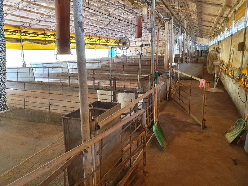 축산과__빈_양돈농가_축사