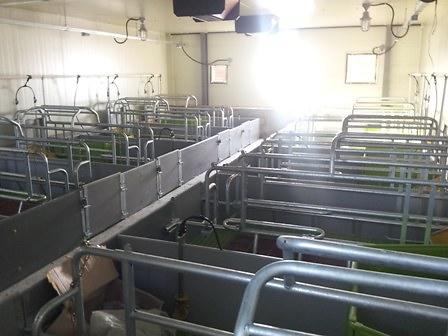 축산과_사육시설_내부_(2)