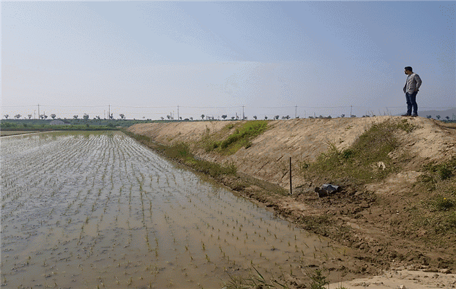 감사담당관_농지불법행위_단속_(1)