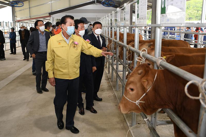강화축협_가축시장_준공식_3