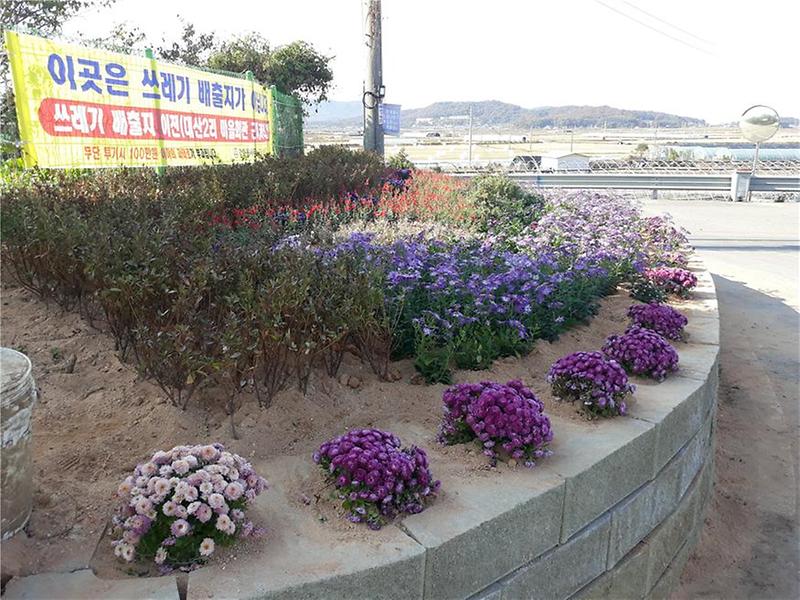 강화읍_무단투기지_화단조성_및_집중단속_(1)