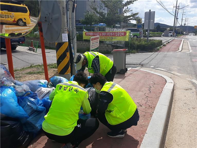 강화읍_무단투기지_화단조성_및_집중단속_(2)