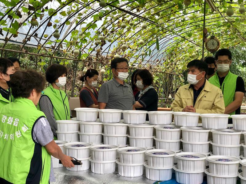 강화읍_삼계탕나눔_(2)