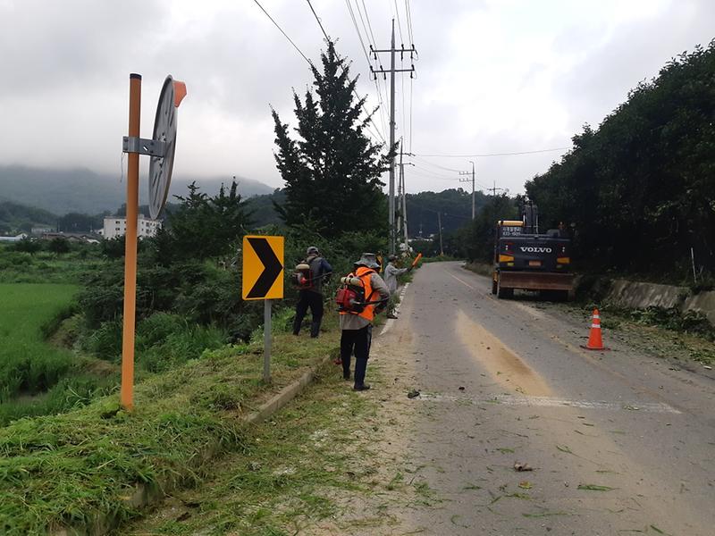 강화읍_수목정리_(1)