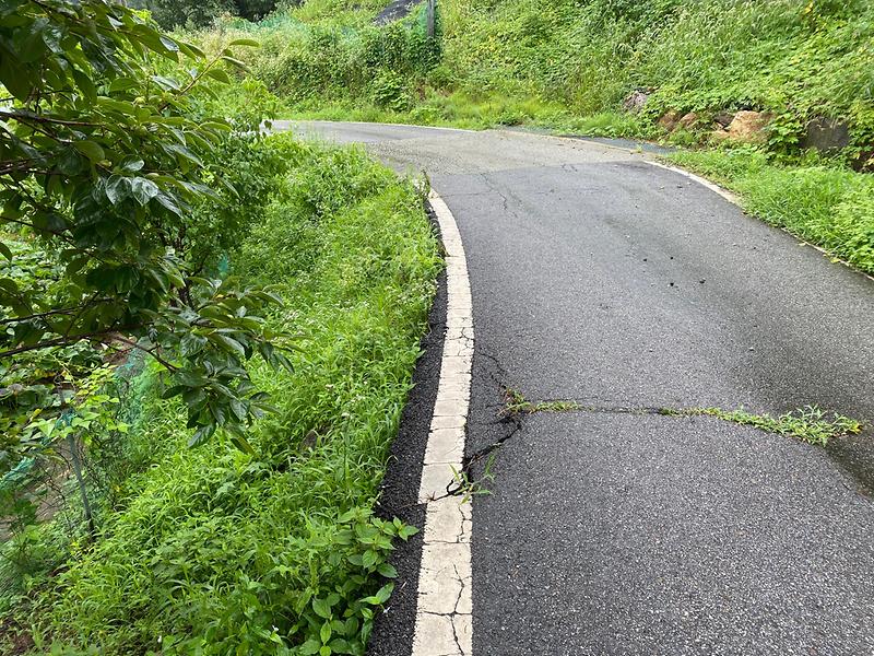 강화읍_태풍복구_(1)