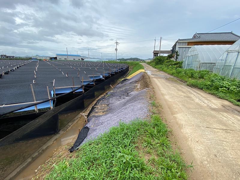 강화읍_태풍복구_(2)