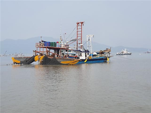 강화군_젓새우_조업사진