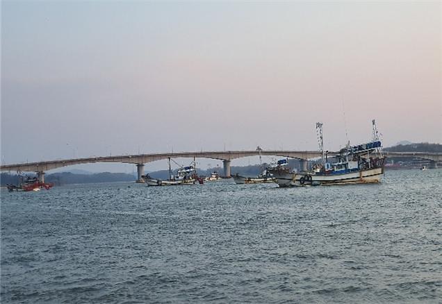 강화군_젓새우_조업사진_2