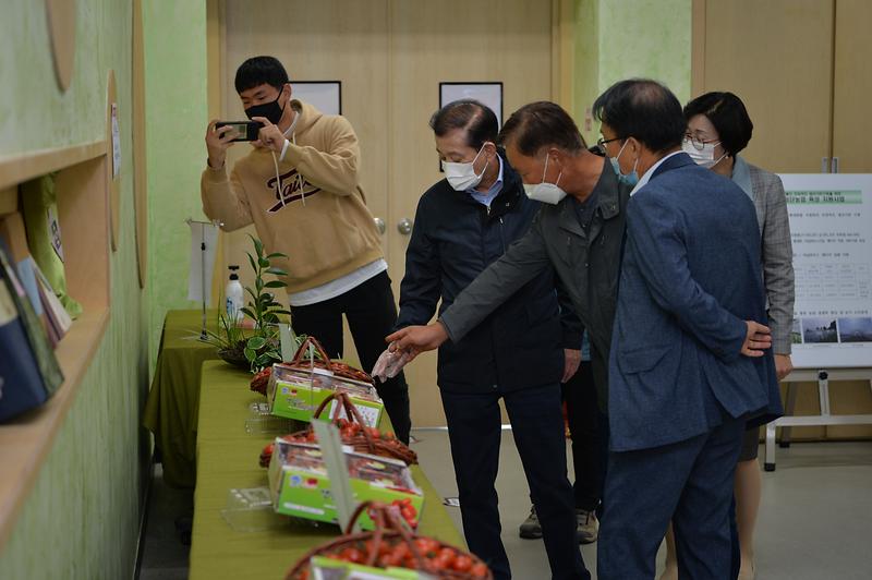 강화섬_토마토_생산농가_품종평가회_(1)