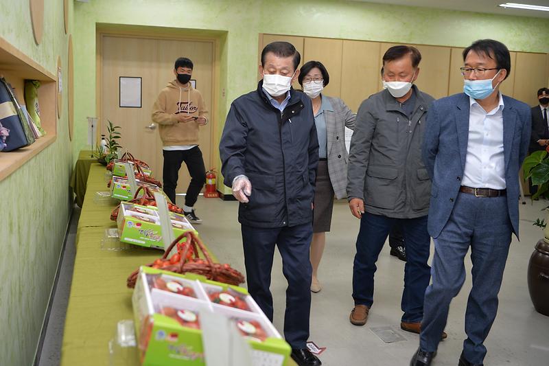 강화섬_토마토_생산농가_품종평가회_(2)